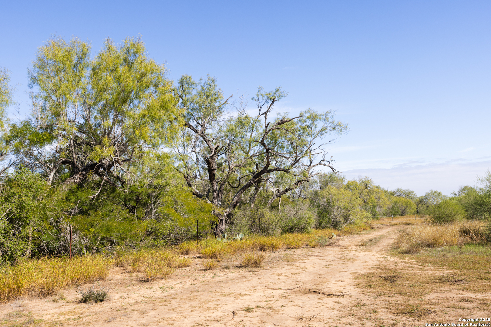 8-fm 1581, PEARSALL, TX, 78061 | 1836029 | Realty Texas LLC