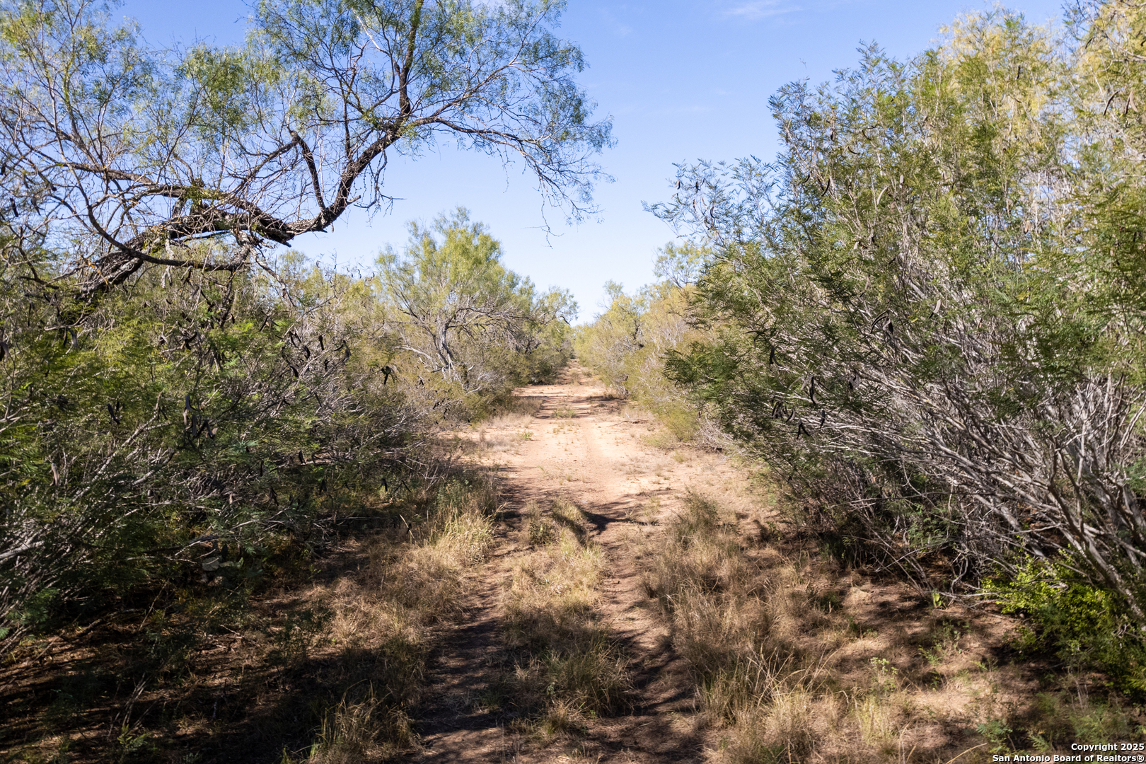 8-fm 1581, PEARSALL, TX, 78061 | 1836029 | Realty Texas LLC