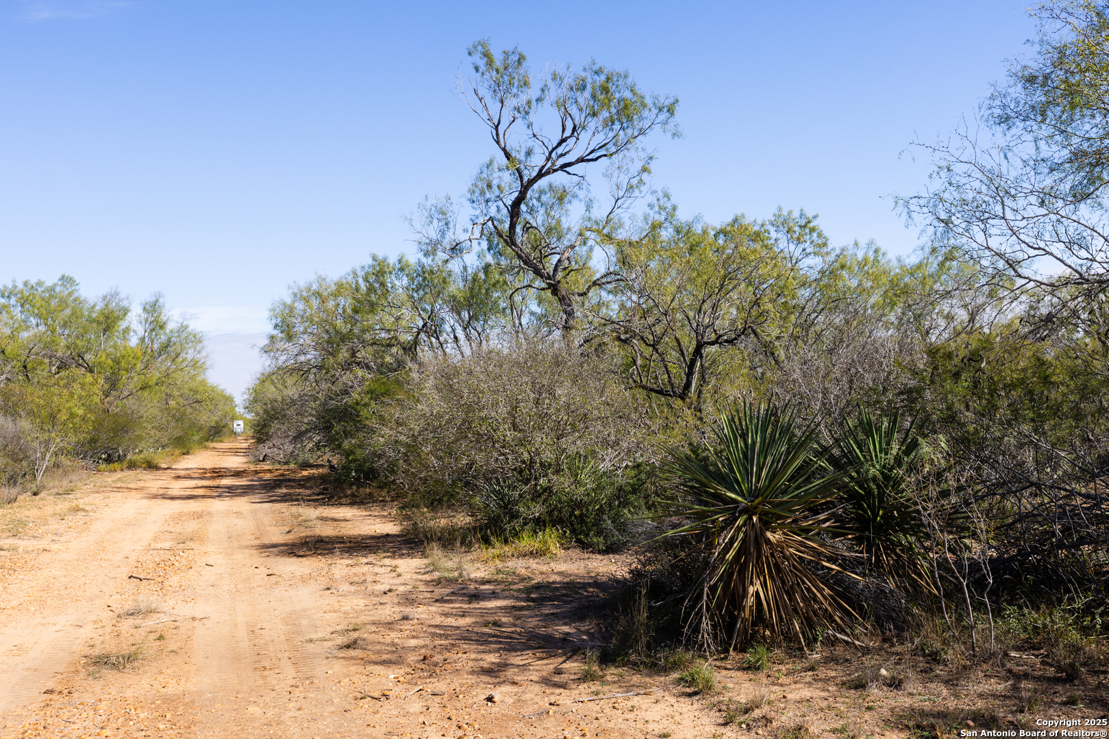 8-fm 1581, PEARSALL, TX, 78061 | 1836029 | Realty Texas LLC