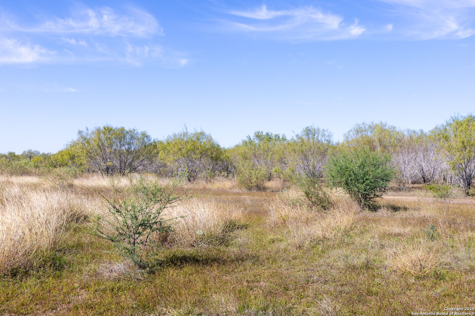 8-fm 1581, PEARSALL, TX, 78061 | 1836029 | Realty Texas LLC