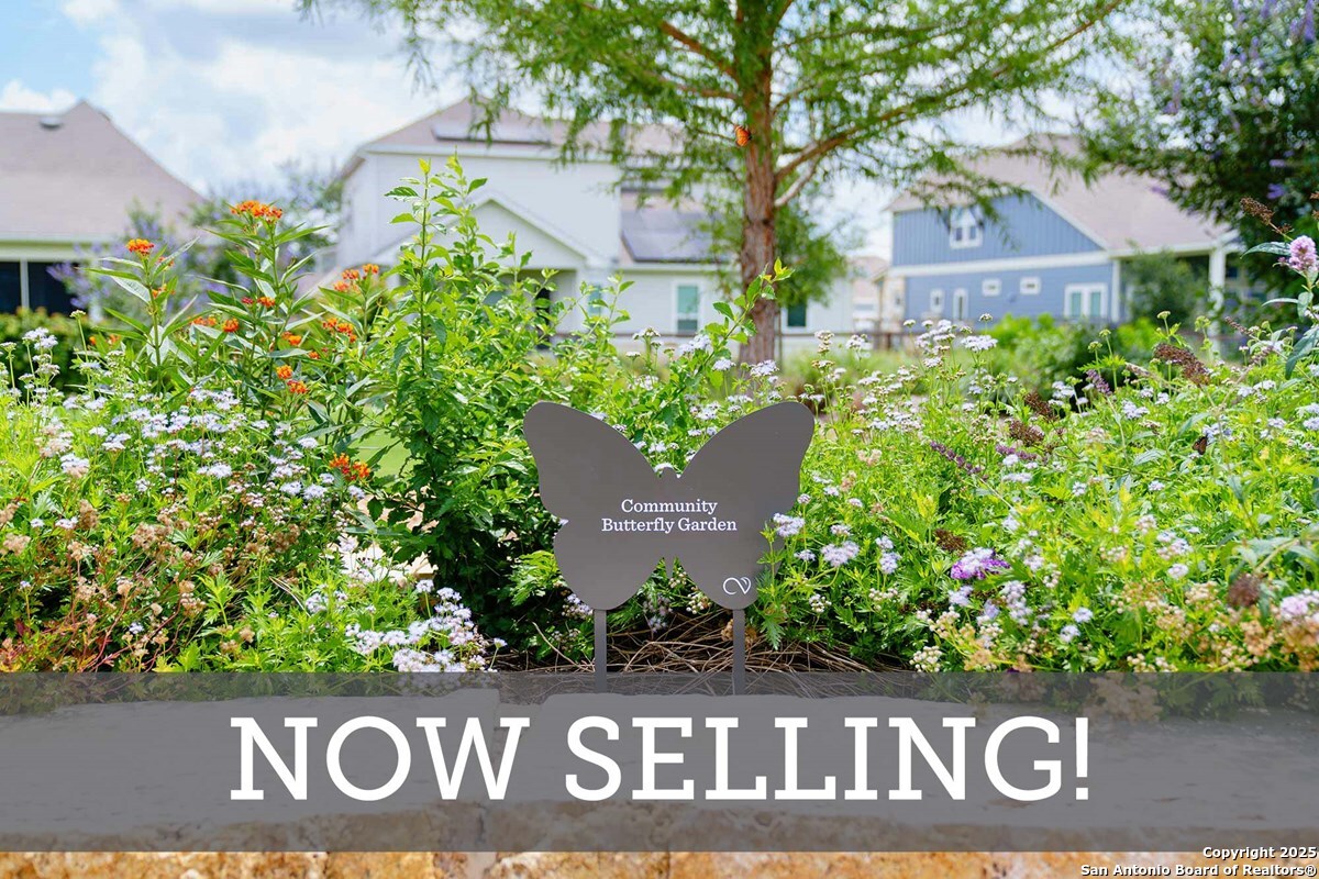 8201 Chalk Trace , Schertz, TX, 78154 | 1840963 | Realty Texas LLC