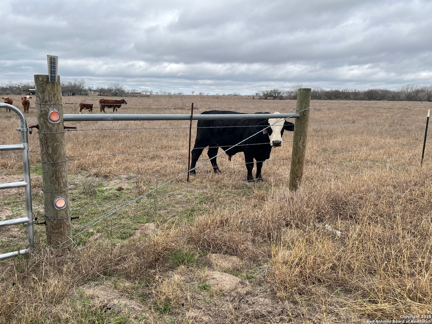 0 S Hwy 37 Access , George West, TX, 78064 | 1841640 | Realty Texas LLC