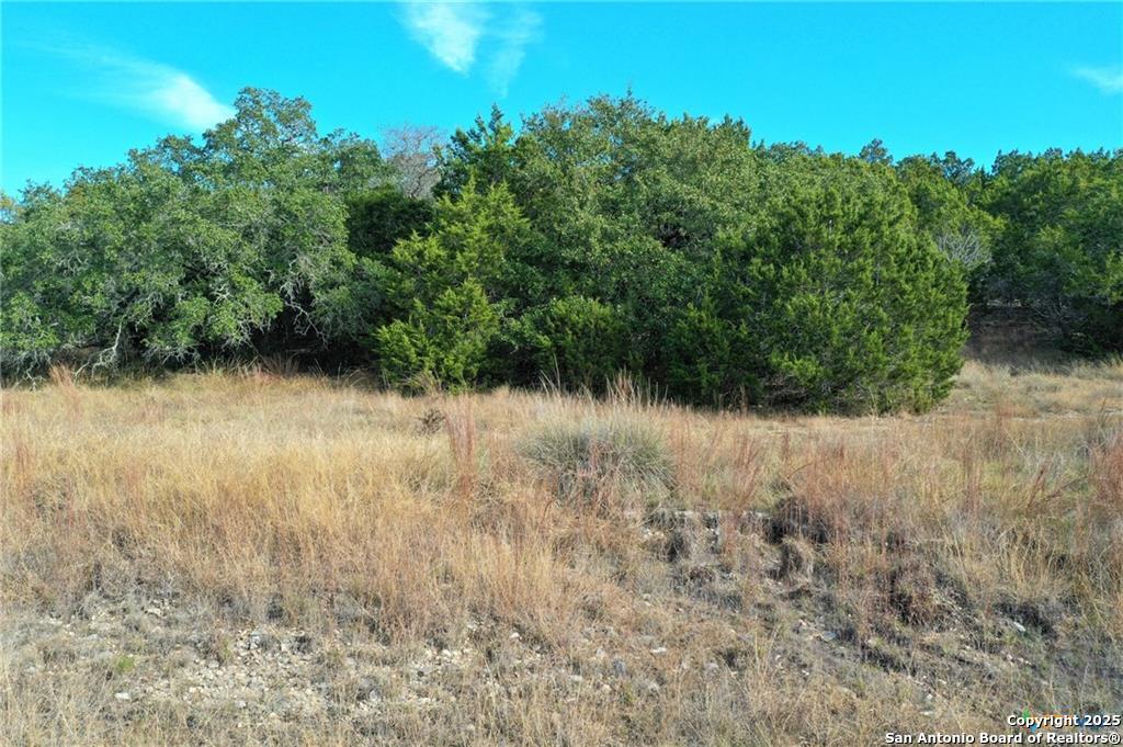111 Dodder, Spring Branch, TX, 78070 | 1845311 | Realty Texas LLC