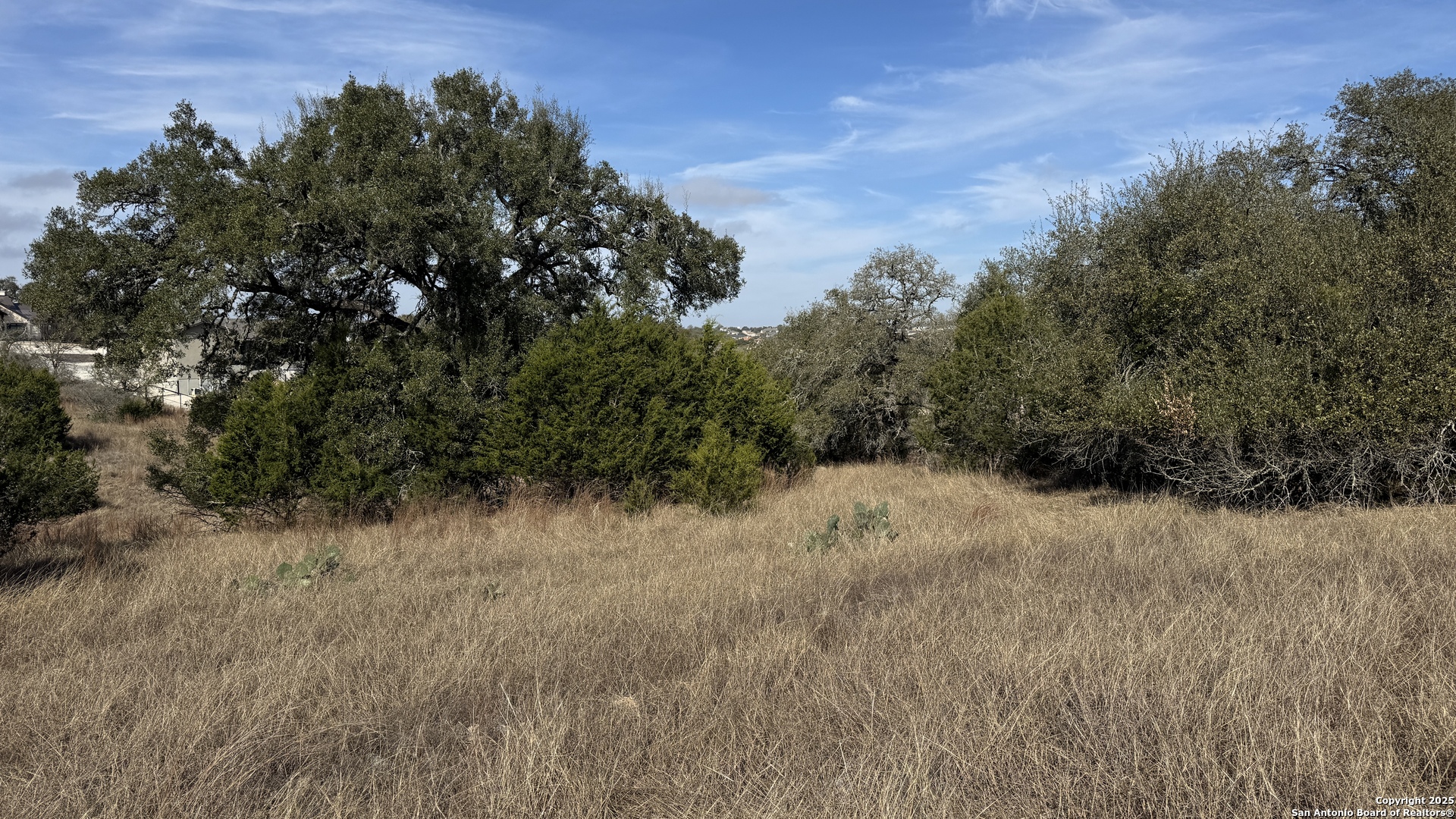 1221 Brushy , New Braunfels, TX, 78132 | 1845230 | Realty Texas LLC