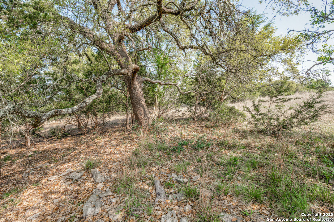 1221 Brushy , New Braunfels, TX, 78132 | 1845230 | Realty Texas LLC