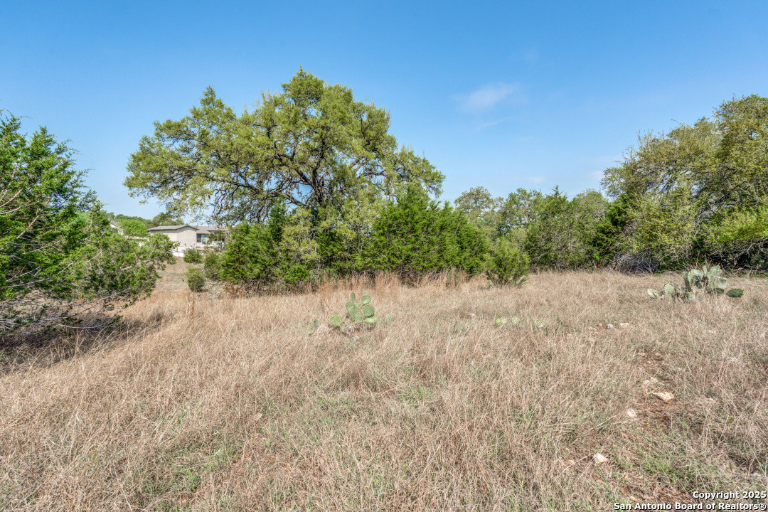 1221 Brushy , New Braunfels, TX, 78132 | 1845230 | Realty Texas LLC