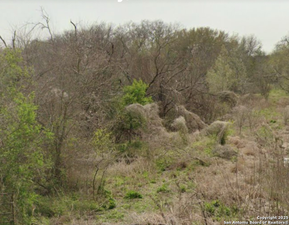 00 Cr 145 , Kenedy, TX, 78119 | 1846662 | Realty Texas LLC