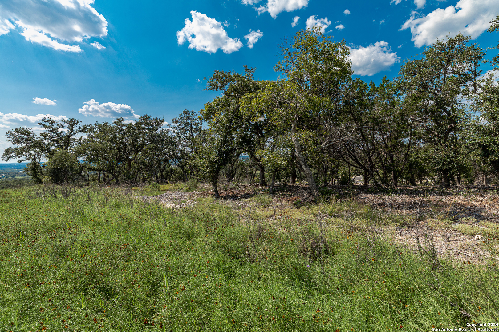 593 Rosemary Ridge Dr , Bulverde, TX, 78163 | 1800160 | Realty Texas LLC