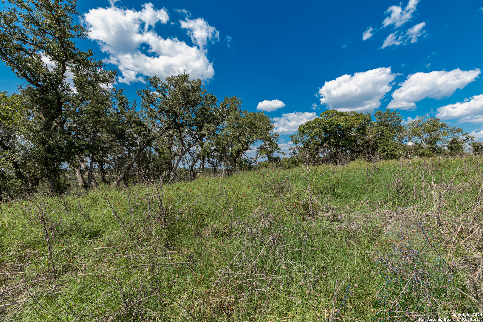 593 Rosemary Ridge Dr , Bulverde, TX, 78163 | 1800160 | Realty Texas LLC