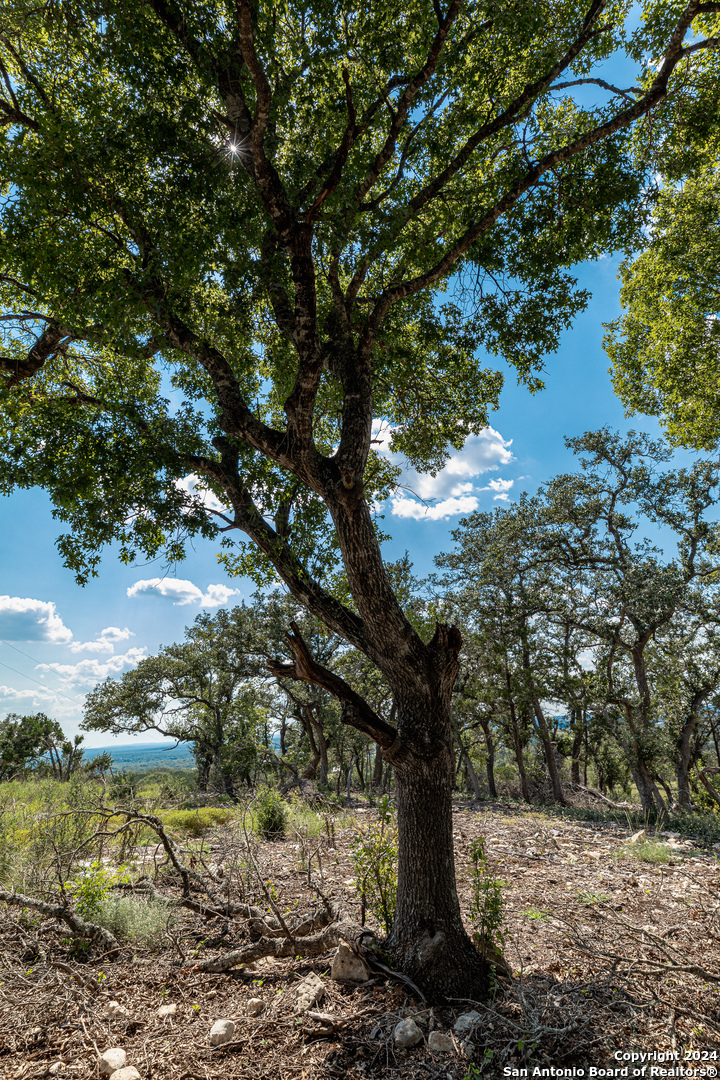 593 Rosemary Ridge Dr , Bulverde, TX, 78163 | 1800160 | Realty Texas LLC