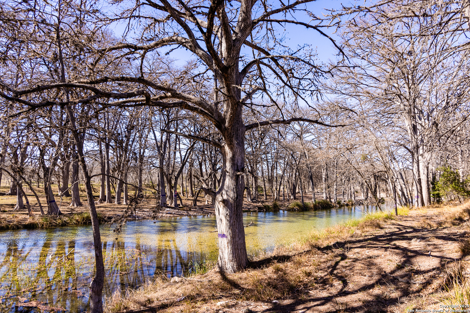 2400 Little Dry Frio Road , Leakey, TX, 78873 | 1852397 | Realty Texas LLC