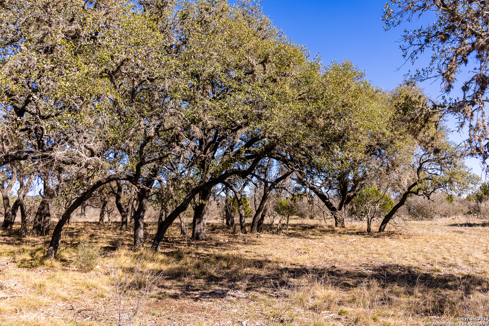 2400 Little Dry Frio Road , Leakey, TX, 78873 | 1852397 | Realty Texas LLC