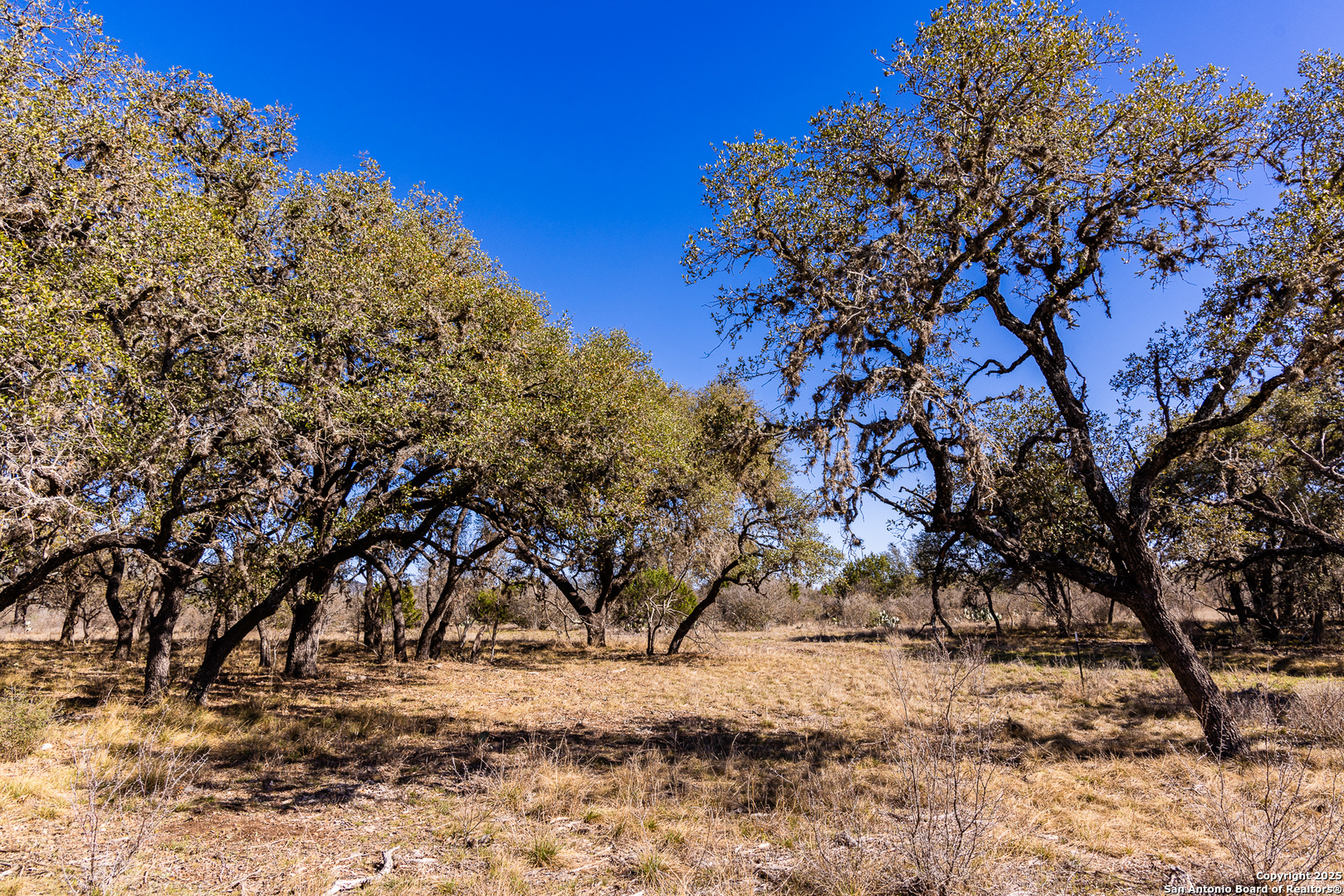 2400 Little Dry Frio Road , Leakey, TX, 78873 | 1852397 | Realty Texas LLC