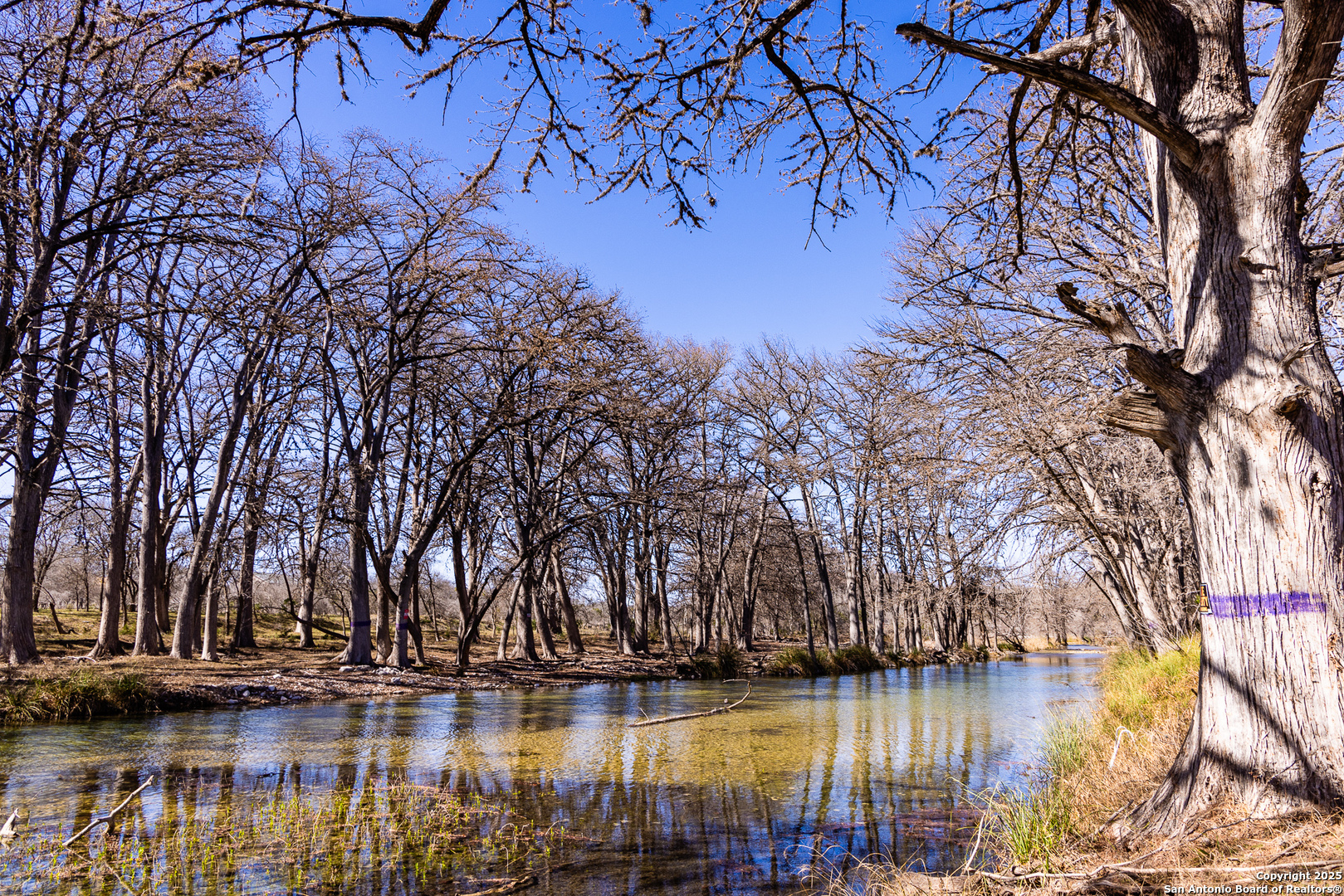 2400 Little Dry Frio Road , Leakey, TX, 78873 | 1852397 | Realty Texas LLC