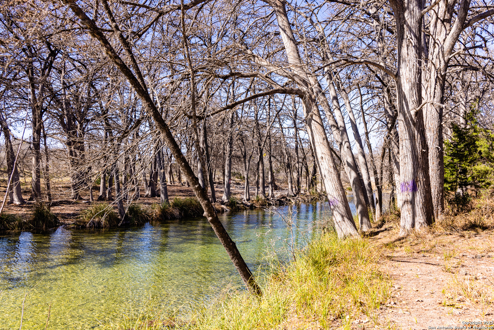2400 Little Dry Frio Road , Leakey, TX, 78873 | 1852397 | Realty Texas LLC