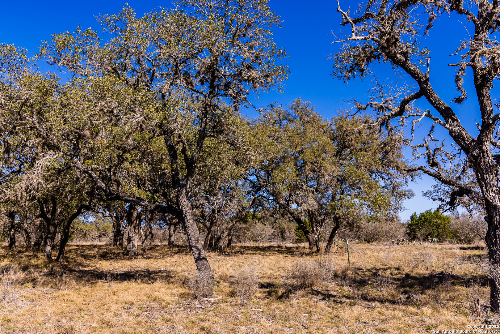 2400 Little Dry Frio Road , Leakey, TX, 78873 | 1852397 | Realty Texas LLC