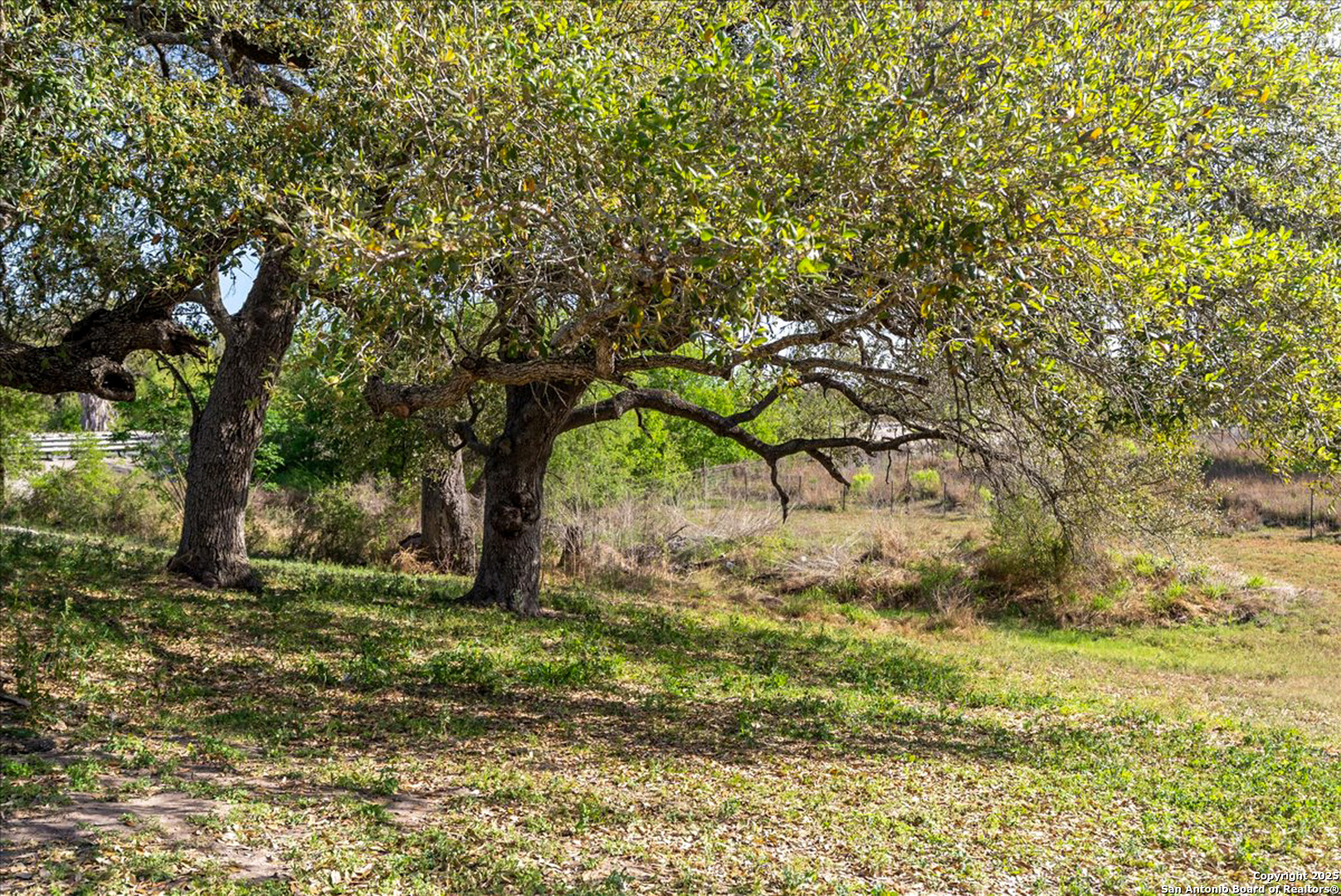 1200 Hwy 59, GEORGEWEST, TX, 78022 | 1852379 | Realty Texas LLC