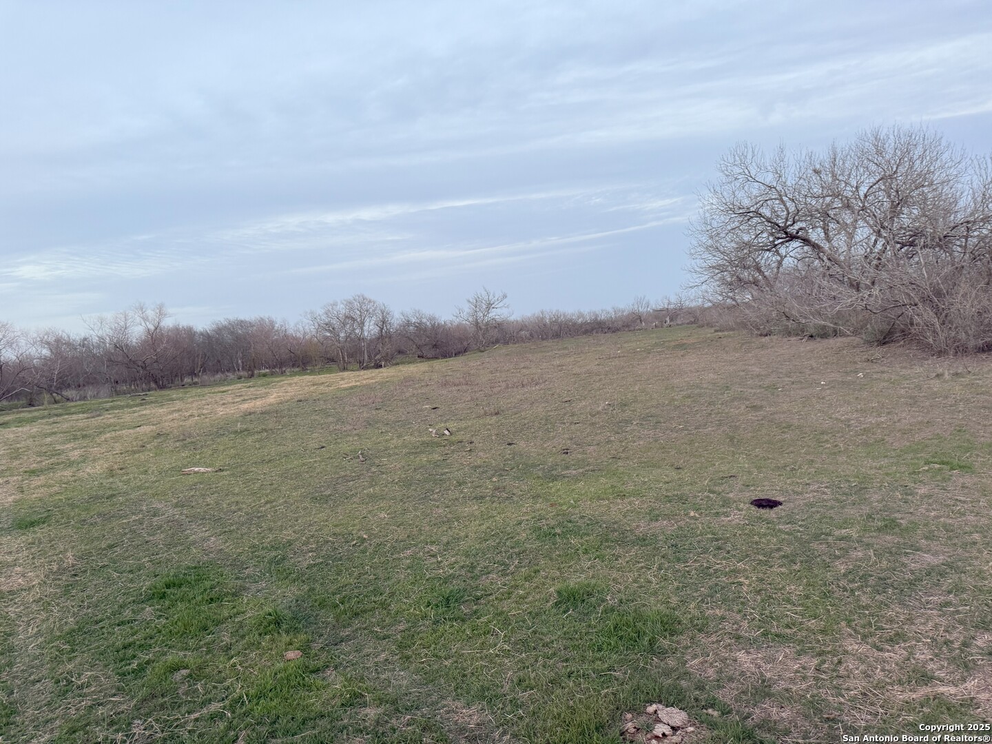 210 E Loop 1604 S , Adkins, TX, 78101 | 1853558 | Realty Texas LLC