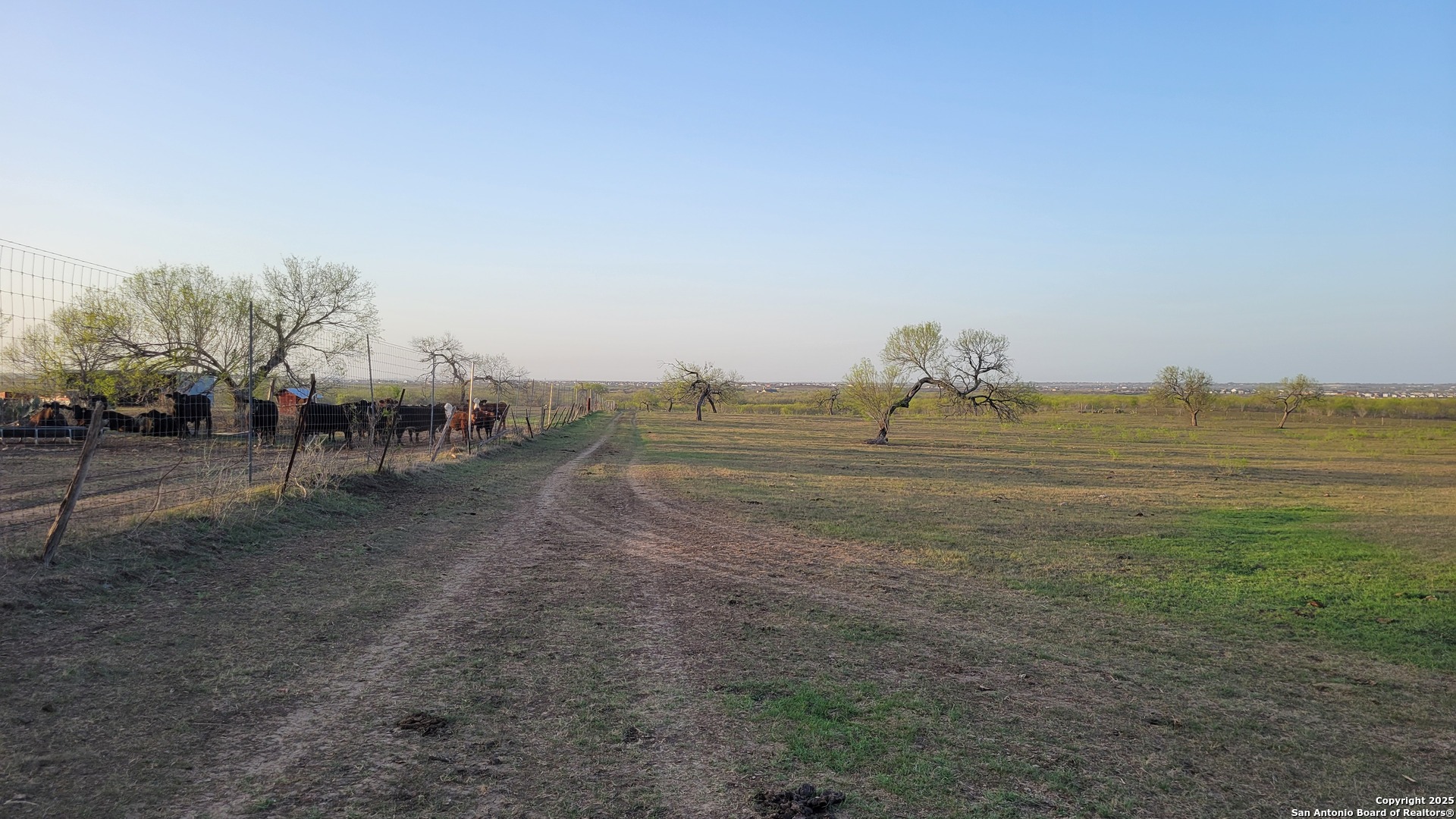 210 E Loop 1604 S , Adkins, TX, 78101 | 1853558 | Realty Texas LLC