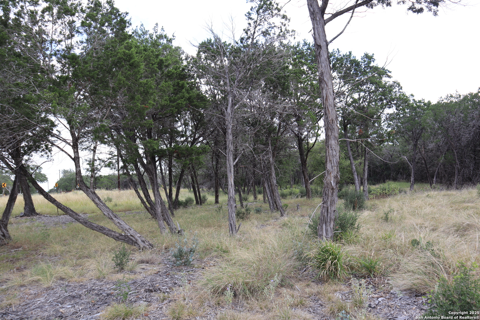 0 English , Pipe Creek, TX, 78063 | 1854279 | Realty Texas LLC
