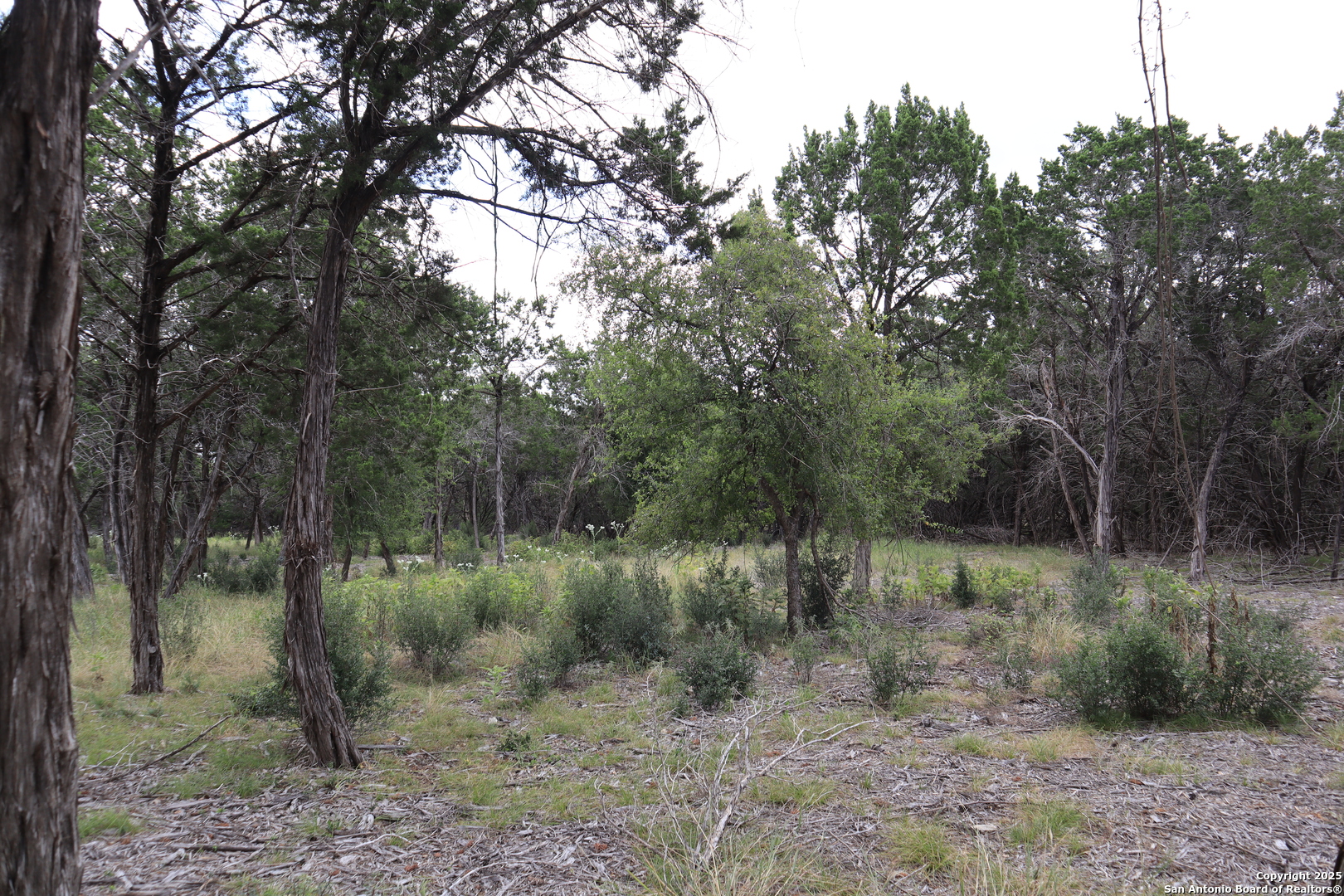 0 English , Pipe Creek, TX, 78063 | 1854279 | Realty Texas LLC