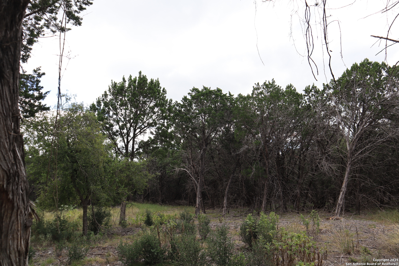 0 English , Pipe Creek, TX, 78063 | 1854279 | Realty Texas LLC