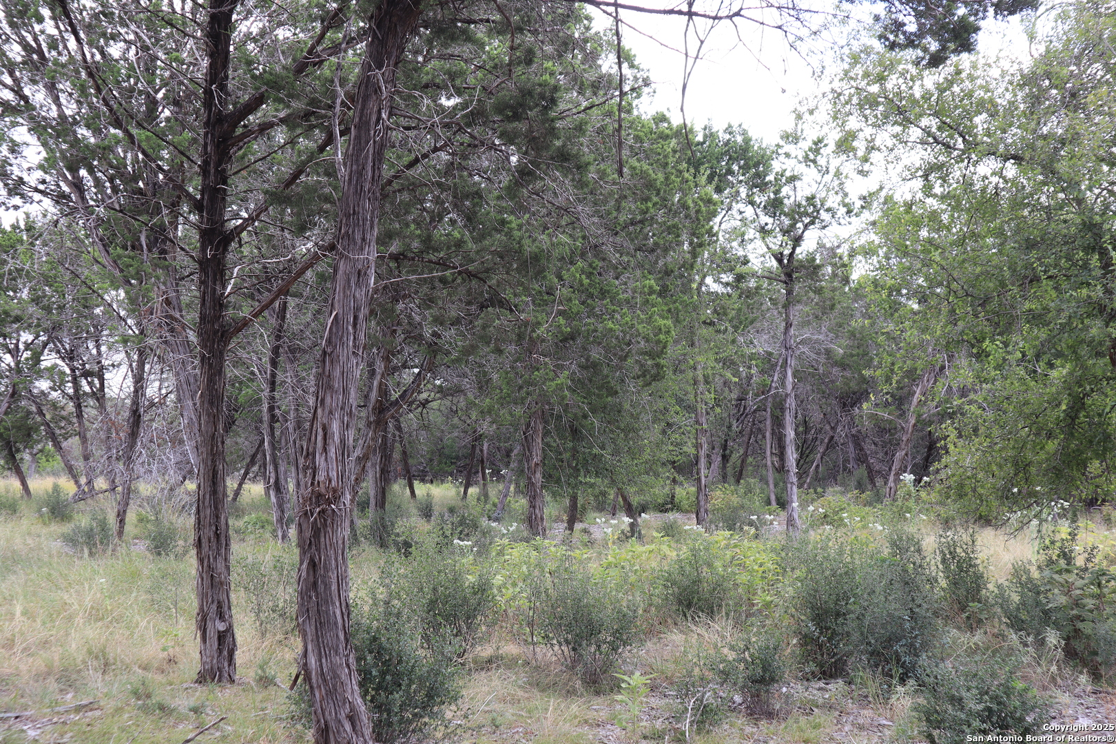 0 English , Pipe Creek, TX, 78063 | 1854279 | Realty Texas LLC