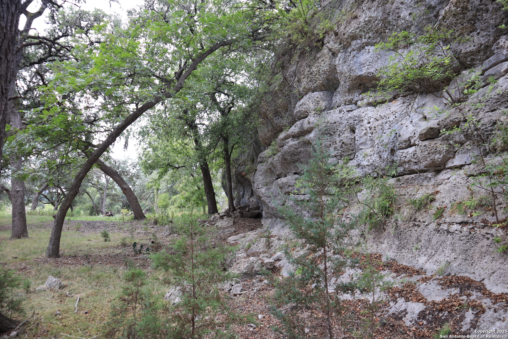 0 English , Pipe Creek, TX, 78063 | 1854279 | Realty Texas LLC