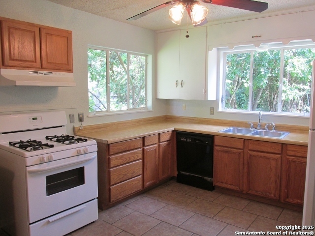 213 Arvin , Terrell Hills, TX, 78209 | 1854807 | Realty Texas LLC