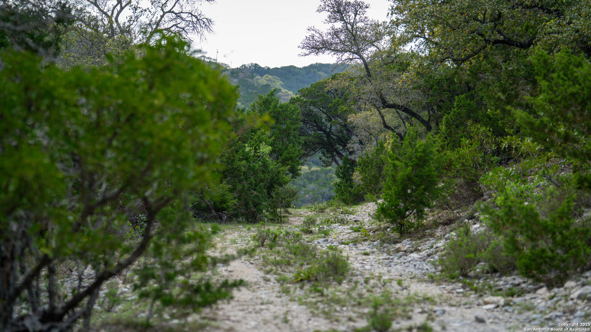 3939 Bear Springs , Pipe Creek, TX, 78063 | 1856708 | Realty Texas LLC