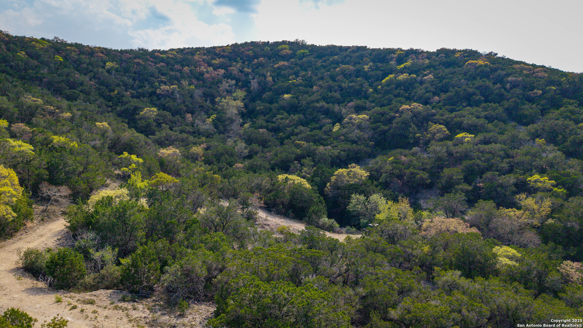 3939 Bear Springs , Pipe Creek, TX, 78063 | 1856708 | Realty Texas LLC