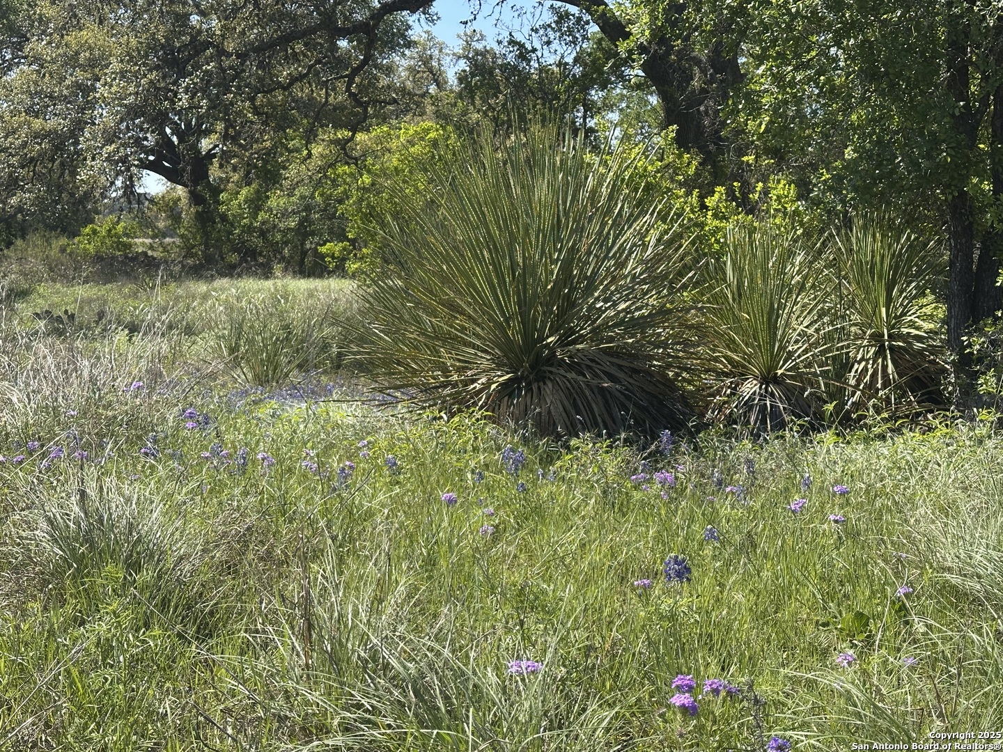713 Mystic Shores Blvd , Spring Branch, TX, 78070 | 1856456 | Realty Texas LLC