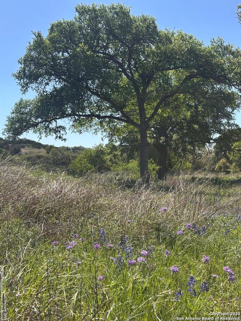 713 Mystic Shores Blvd , Spring Branch, TX, 78070 | 1856456 | Realty Texas LLC