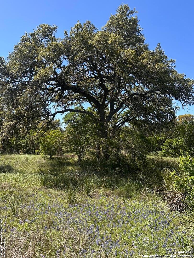 713 Mystic Shores Blvd , Spring Branch, TX, 78070 | 1856456 | Realty Texas LLC