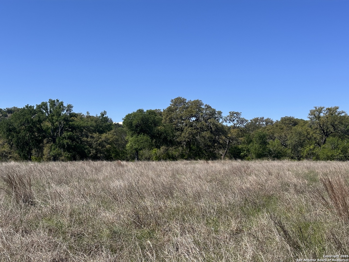 713 Mystic Shores Blvd , Spring Branch, TX, 78070 | 1856456 | Realty Texas LLC
