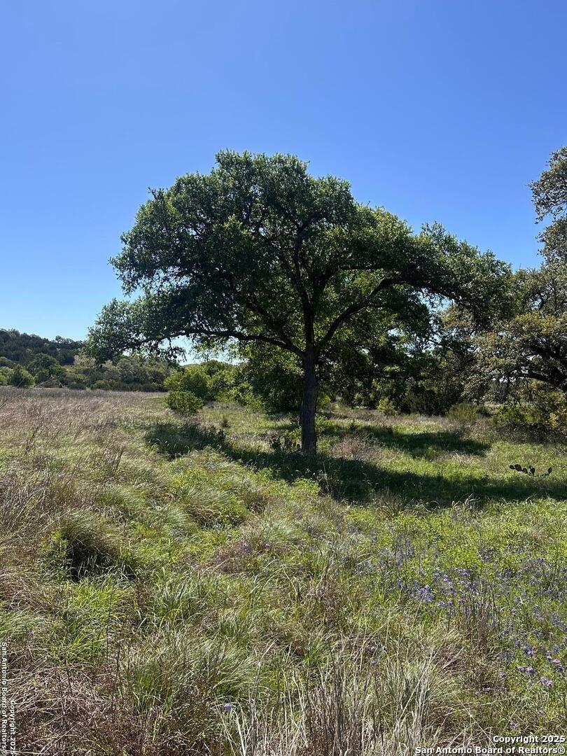 713 Mystic Shores Blvd , Spring Branch, TX, 78070 | 1856456 | Realty Texas LLC