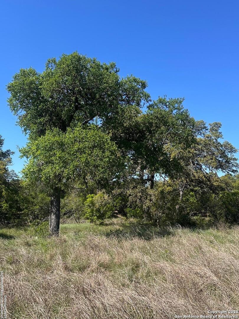 713 Mystic Shores Blvd , Spring Branch, TX, 78070 | 1856456 | Realty Texas LLC