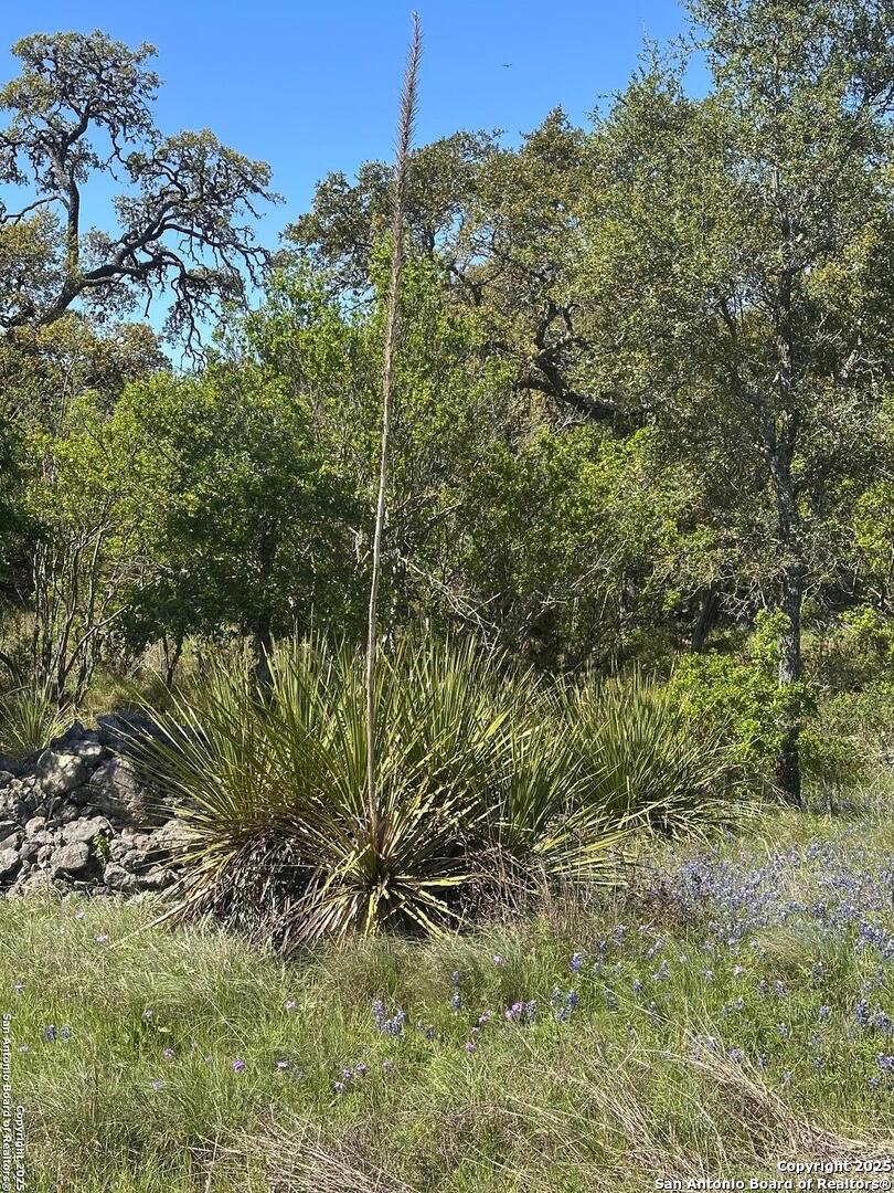 713 Mystic Shores Blvd , Spring Branch, TX, 78070 | 1856456 | Realty Texas LLC