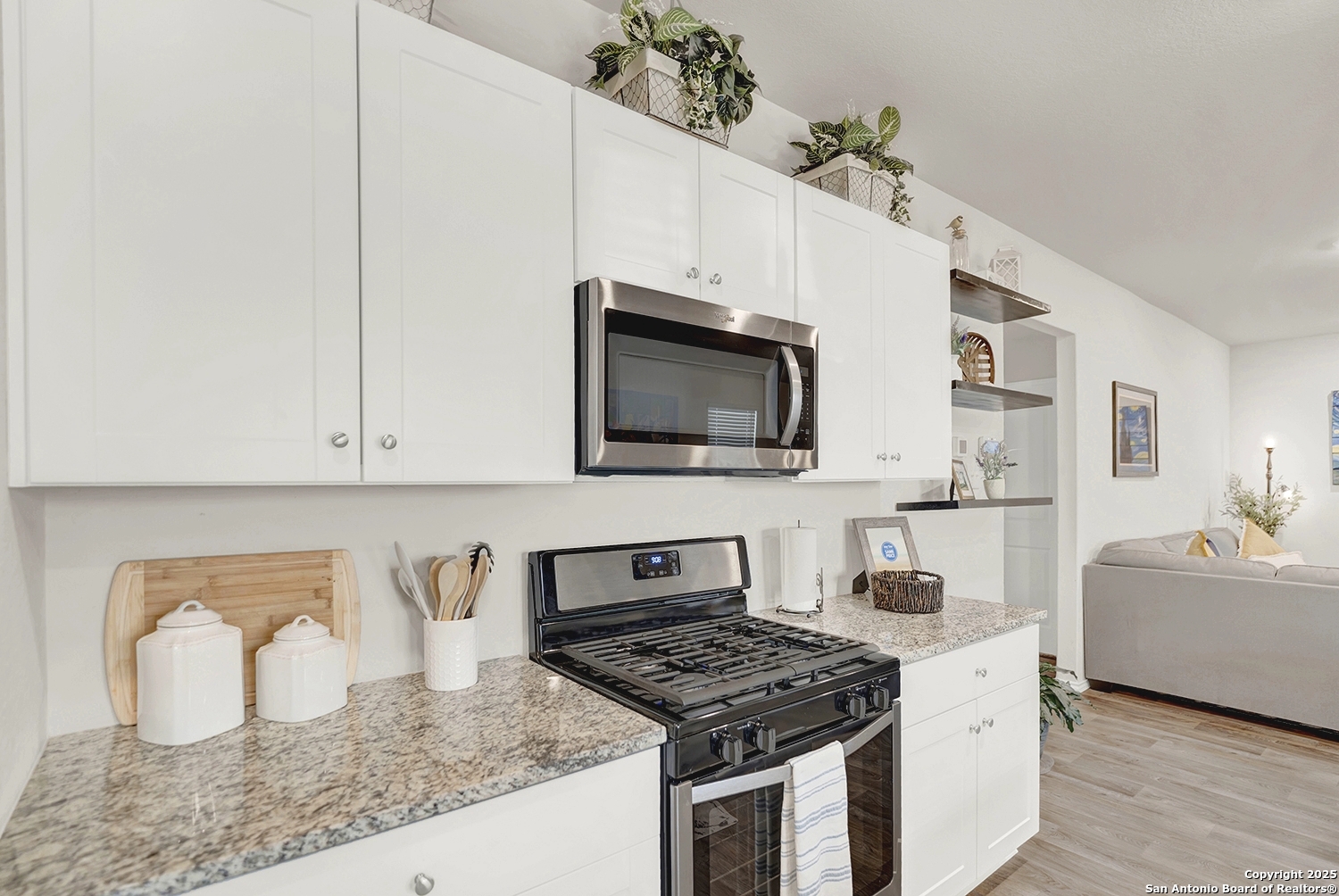 256 Middle Green Loop, FLORESVILL, TX, 78114 | 1857340 | Realty Texas LLC