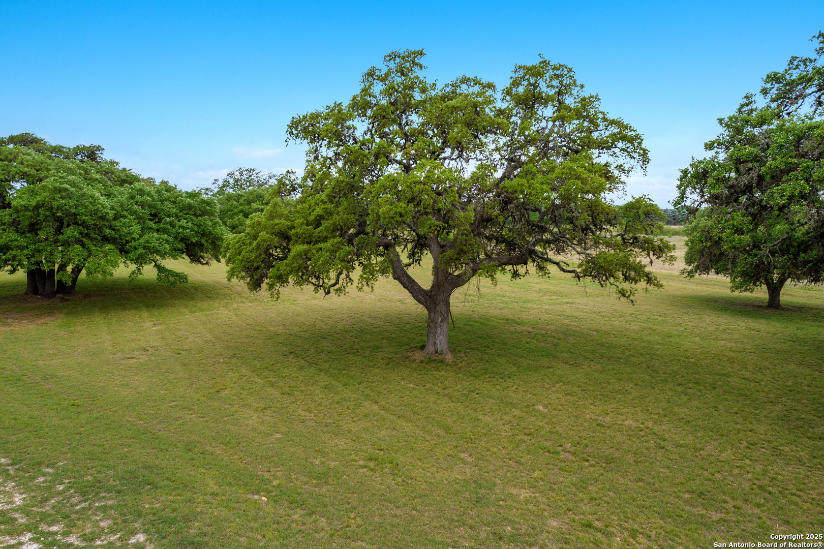 177 Bridlegate, BANDERA, TX, 78003 | 1859842 | Realty Texas LLC