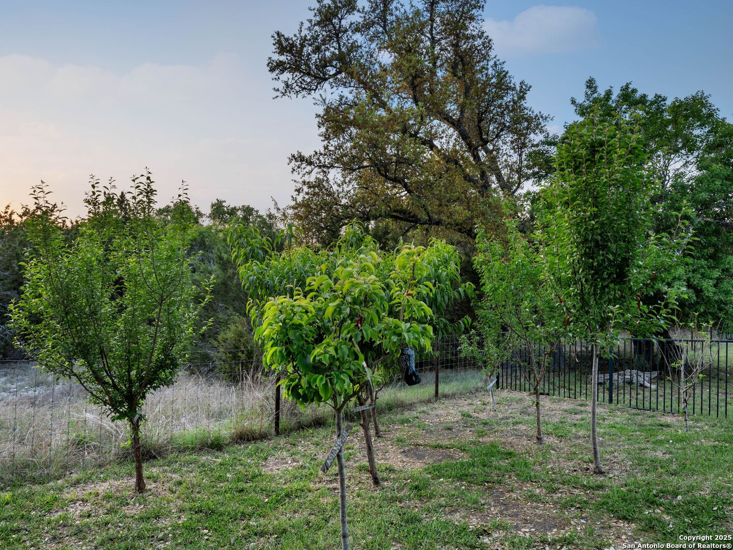 455 Cielo Springs , Blanco, TX, 78606 | 1858629 | Realty Texas LLC