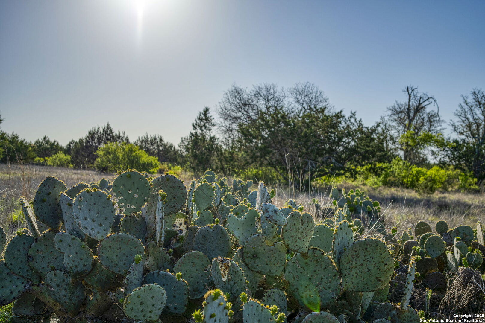 Tbd Target Hill @ Hwy. 27 , Center Point, TX, 78010 | 1859331 | Realty Texas LLC