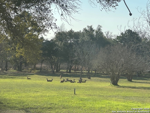 155 Ranch Country , La Vernia, TX, 78121 | 1861534 | Realty Texas LLC