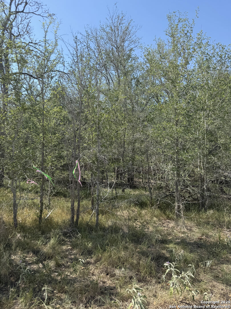 421 Kerr Ave, SUTHERLANDSPRINGS, TX, 78161 | 1866407 | Realty Texas LLC