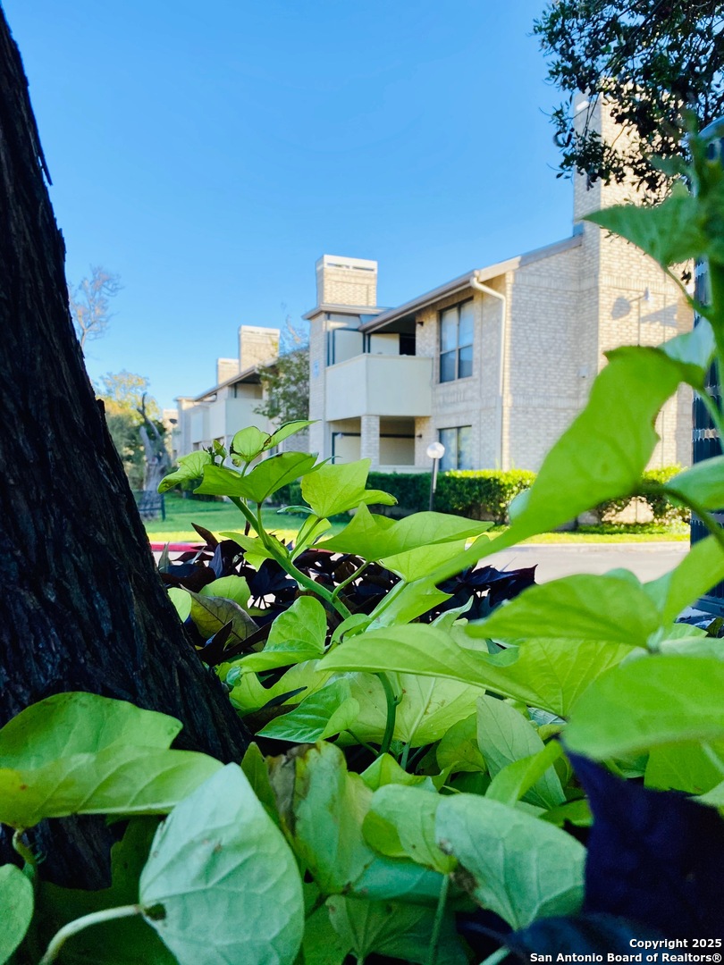 11843 Braesview 108 , San Antonio, TX, 78213 | 1866995 | Realty Texas LLC
