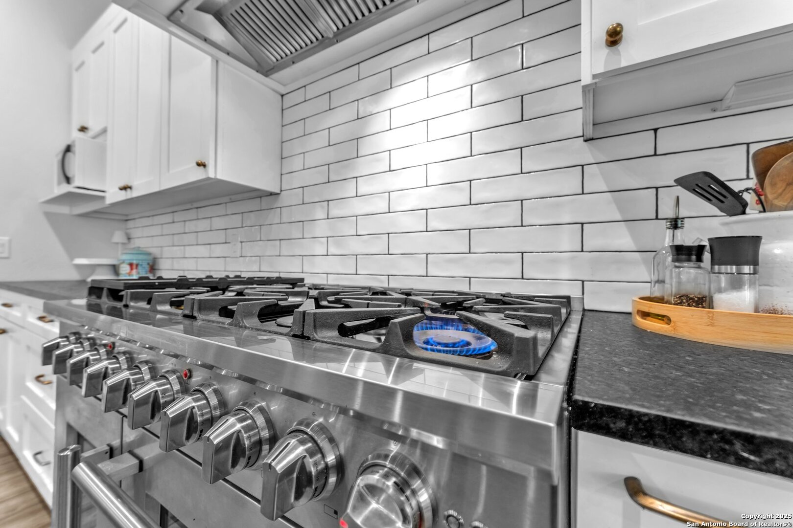 740 Sharp Springs, BULVERDE, TX, 78163 | 1866319 | Realty Texas LLC