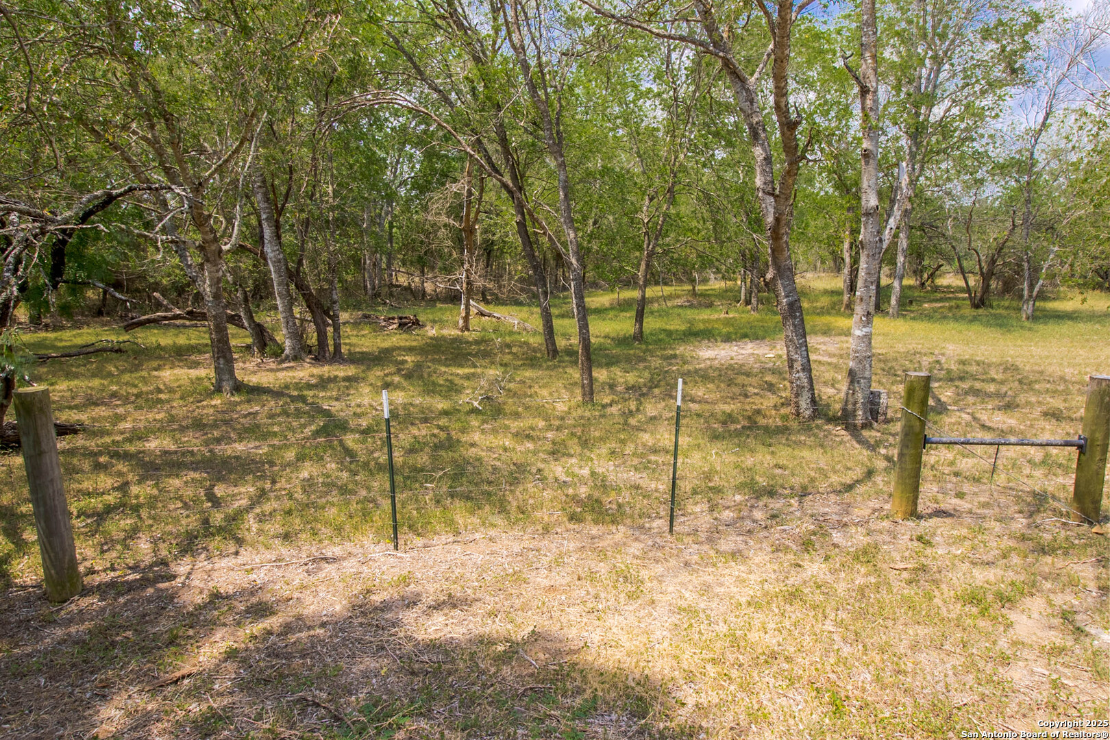 1591 County Road 476 , Stockdale, TX, 78160 | 1869023 | Realty Texas LLC