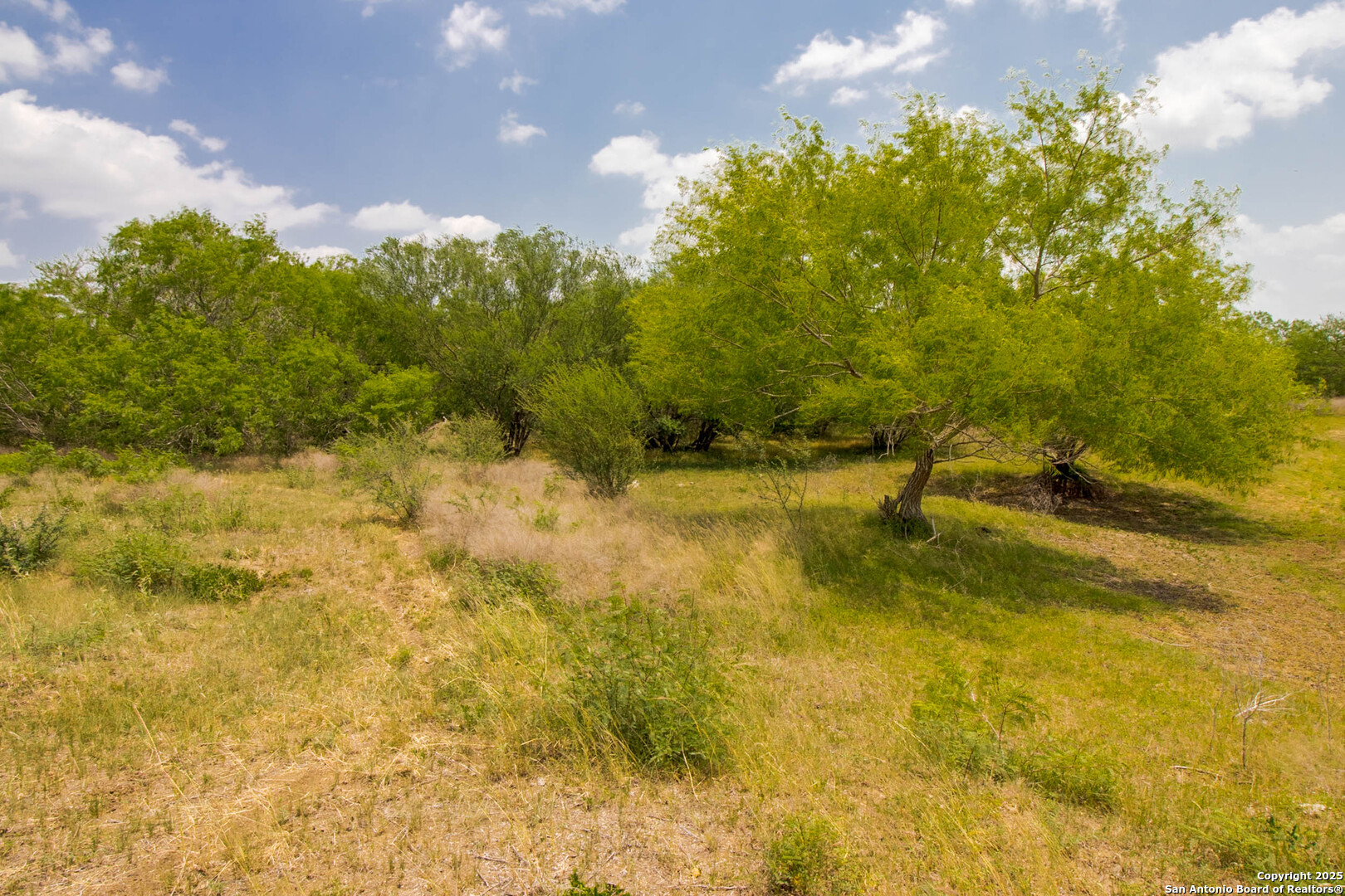1591 County Road 476 , Stockdale, TX, 78160 | 1869023 | Realty Texas LLC