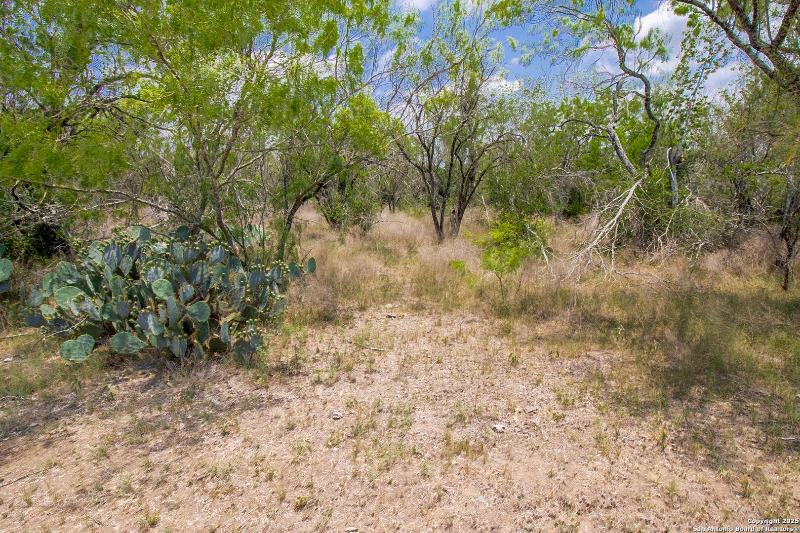 1591 County Road 476 , Stockdale, TX, 78160 | 1869023 | Realty Texas LLC