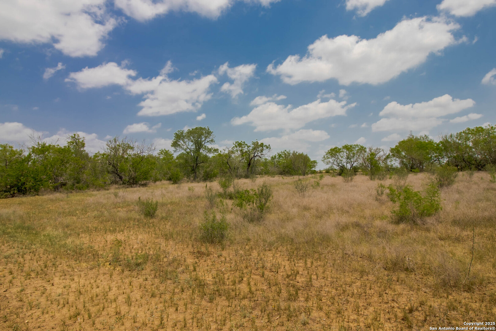 1591 County Road 476 , Stockdale, TX, 78160 | 1869023 | Realty Texas LLC
